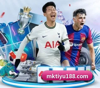 MK体育 APP 界面